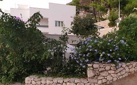 Villa Lasta